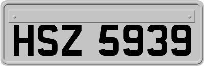 HSZ5939