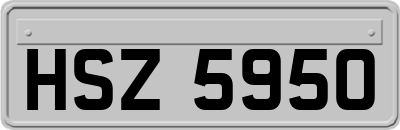 HSZ5950
