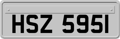 HSZ5951