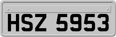 HSZ5953