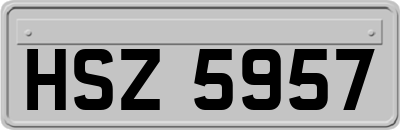 HSZ5957