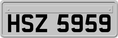 HSZ5959