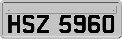 HSZ5960