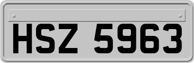 HSZ5963