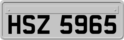 HSZ5965