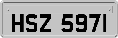 HSZ5971