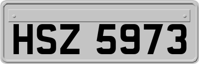 HSZ5973