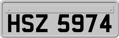 HSZ5974