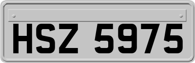 HSZ5975