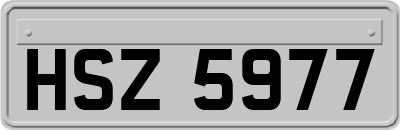 HSZ5977