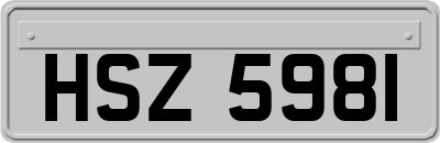 HSZ5981