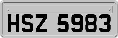 HSZ5983