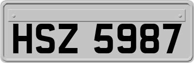HSZ5987