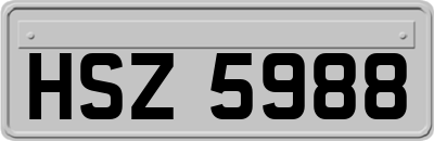 HSZ5988