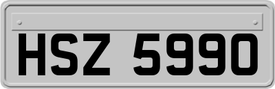 HSZ5990