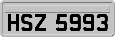HSZ5993