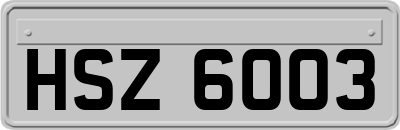 HSZ6003