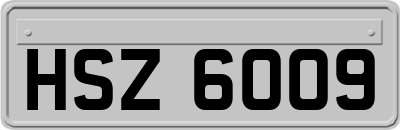 HSZ6009