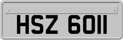 HSZ6011