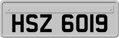 HSZ6019