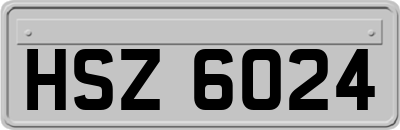HSZ6024