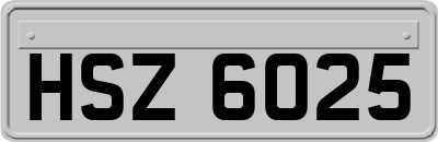 HSZ6025