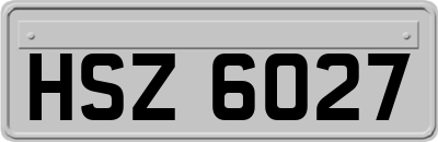 HSZ6027