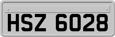 HSZ6028