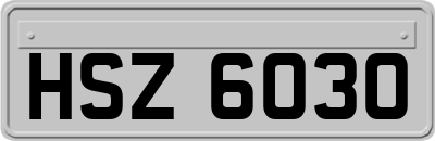 HSZ6030