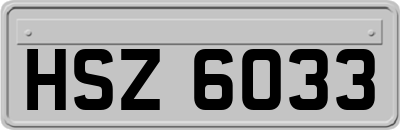 HSZ6033