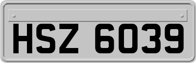 HSZ6039