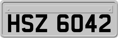 HSZ6042