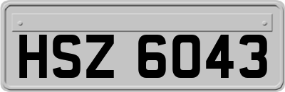 HSZ6043