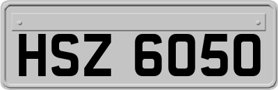 HSZ6050