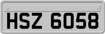 HSZ6058