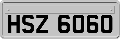 HSZ6060