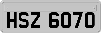 HSZ6070