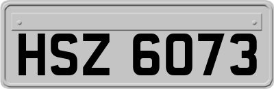HSZ6073