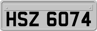 HSZ6074