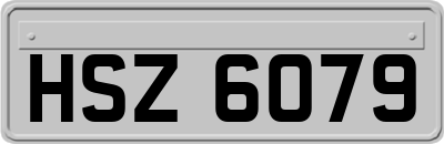 HSZ6079