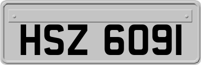 HSZ6091