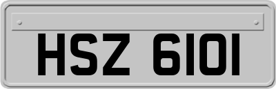 HSZ6101