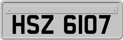 HSZ6107