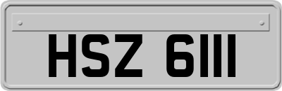 HSZ6111