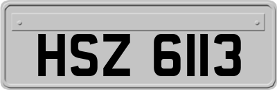 HSZ6113
