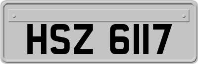 HSZ6117