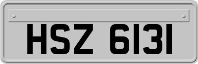 HSZ6131