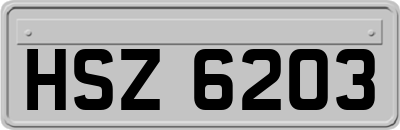 HSZ6203