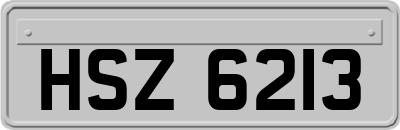 HSZ6213