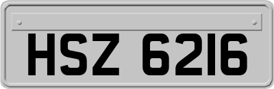 HSZ6216